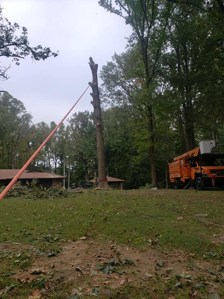 Tree Service Coweta OK ⋆ Tulsa Tree Service & Stump Removal
