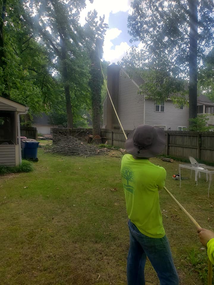 Tree Service Claremore OK ⋆ Tulsa Tree Service & Stump Removal